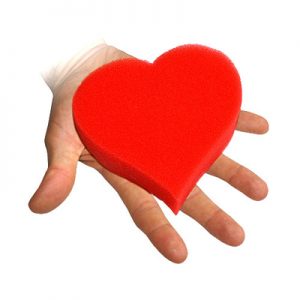 CORAZÓN DE ESPONJA