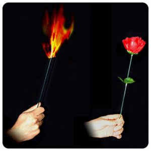 ANTORCHA ROSA - FÁCIL