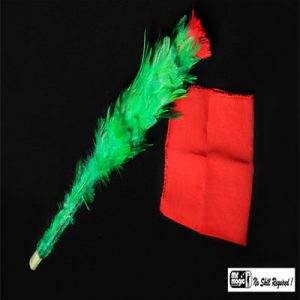 FLOR REBELDE CON PAÑUELO