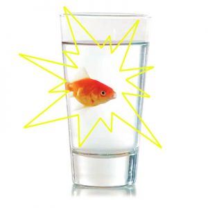 APARICIÓN DE PEZ