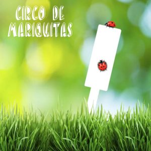 El CIRCO DE LAS MARIQUITAS