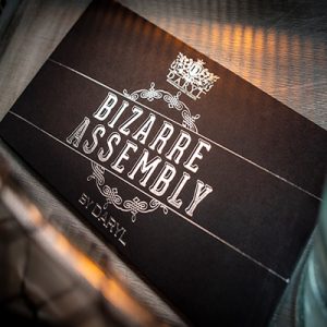 BIZARRE ASSEMBLY