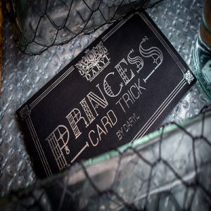 PRINCESS CARD