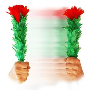 MULTIPLICACIÓN DE FLORES