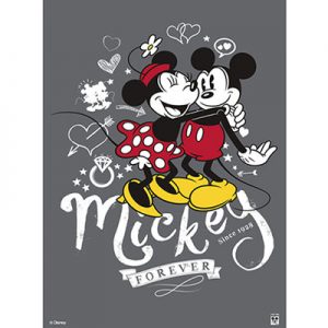 ROTO Y RECOMPUESTO DISNEY